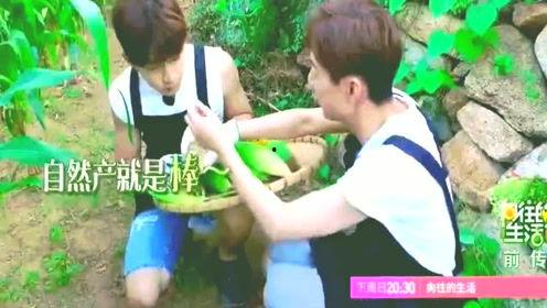 吃瓜星娱乐趣人趣事儿,揭秘明星们的欢乐时光